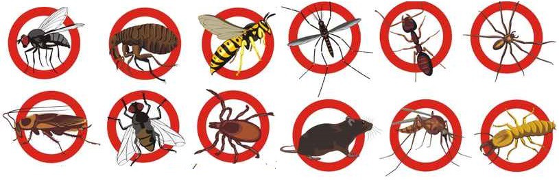 Pest-Control